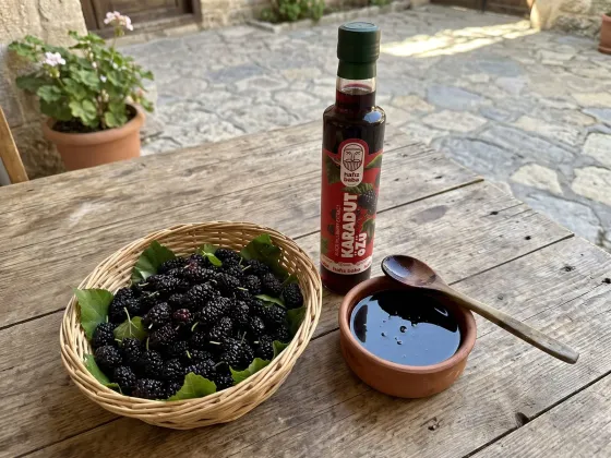 Karadut Özü Nasıl Kullanılır? Ölçü ve Saklama