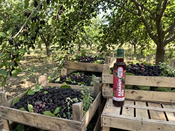 Karadut Özü ile Karadut Pekmezi Arasındaki Fark Nedir?
